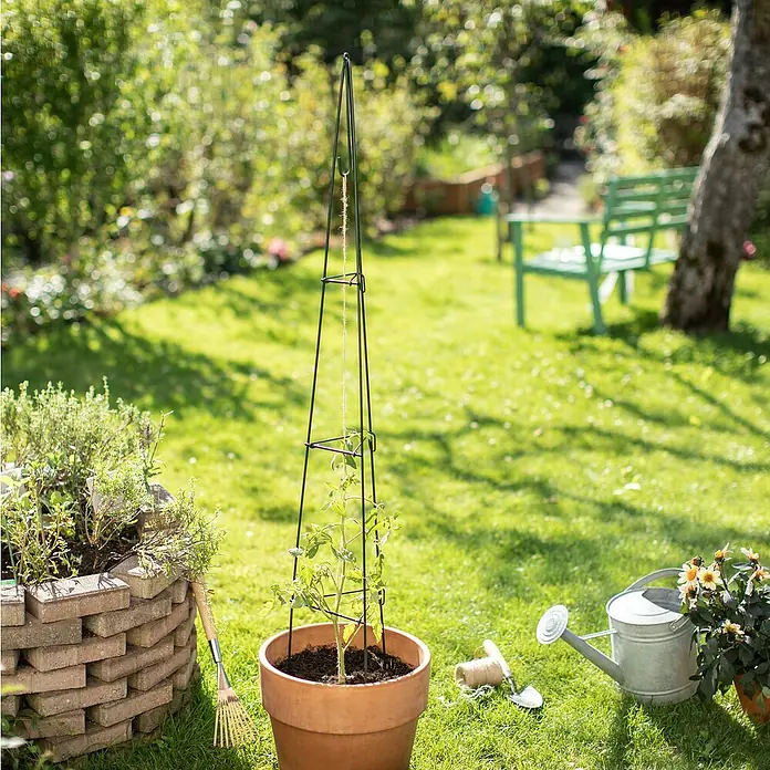 Windhager Rankhilfe Pyramide - Stahl, Grün, 180 cm - Ein Pflanzgefäß mit einem schwarzen Rankgitter, ideal für das Wachstum von Pflanzen im Garten oder auf dem Balkon.