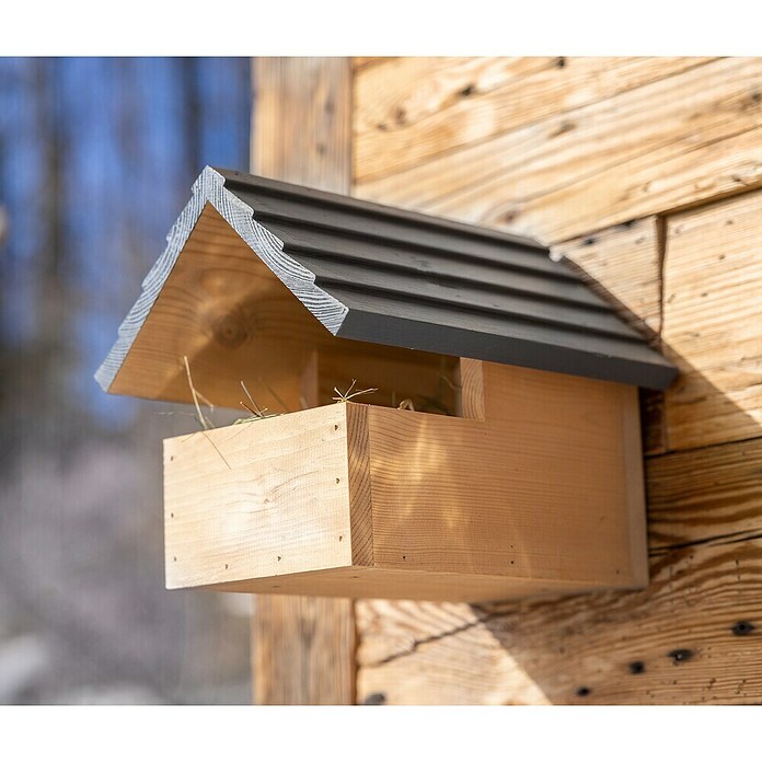 Windhager Nistkasten Loggia (Natur/Grau, Kiefer, 21,5 x 26,5 x 20 cm (H x B x T)) | BAUHAUS