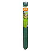 Windhager Drahtgitter (Grün, B x H: 3 x 1 m, Maschenweite: 10 x 10 mm) | BAUHAUS