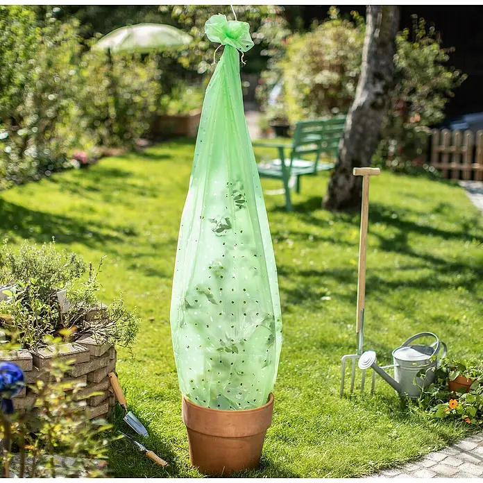 Windhager Tomaten-Folienschlauch Greenline - L x B: 5 x 0,75 m, Recyclebar - Pflanzgefäß mit grünem Schutzsack, der über die Pflanze gezogen wurde, um sie vor Schädlingen zu schützen. Ideal für den Garten.