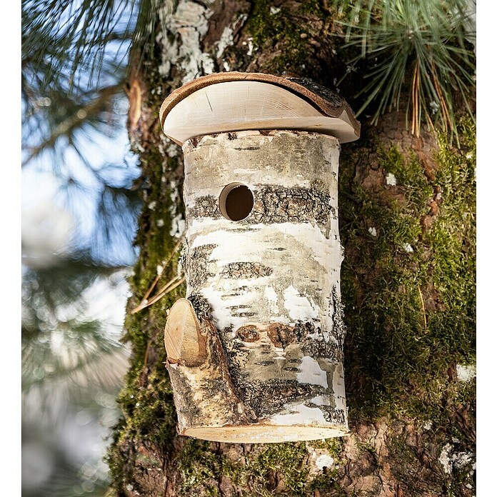 Windhager Nistkasten Wildkogel (Holz, Natur) | BAUHAUS