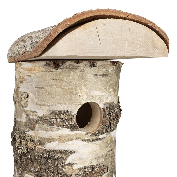 Windhager Nistkasten Wildkogel (Holz, Natur) | BAUHAUS