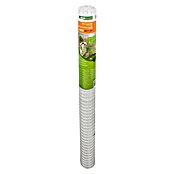 Windhager Drahtgitter (Weiß, B x H: 3 x 1 m, Maschenweite: 20 x 20 mm) | BAUHAUS