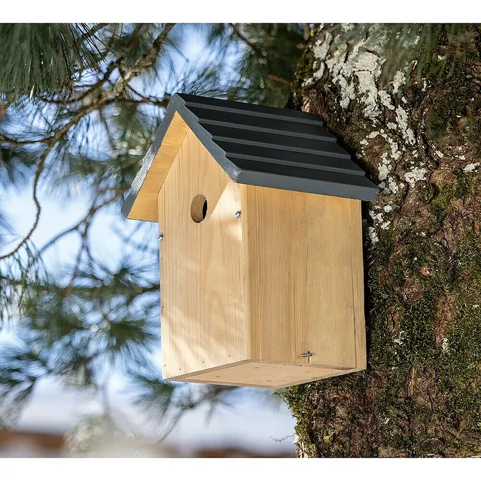 Windhager Nistkasten Cosy - Kiefer, Holz - Ein hölzernes Vogelhaus mit grauem Dach hängt an einem Baum, perfekt für gefiederte Freunde im Garten oder Park.