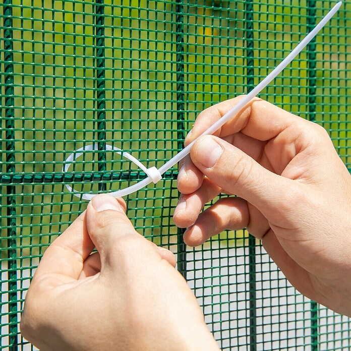 Windhager Drahtgitter (Grün, B x H: 3 x 1 m, Maschenweite: 20 x 20 mm) | BAUHAUS