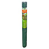 Windhager Drahtgitter (Grün, B x H: 3 x 1 m, Maschenweite: 20 x 20 mm) | BAUHAUS