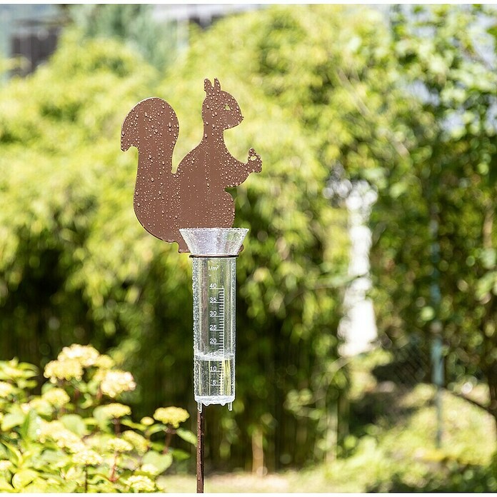 Windhager Regenmesser für Dekoaufsatz (Transparent) | BAUHAUS