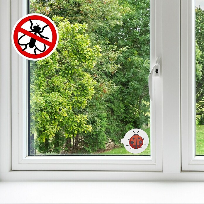 Fliegenfalle Sticker (Gesamtstückzahl: 8 Stk.) | BAUHAUS