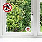Fliegenfalle Sticker (Gesamtstückzahl: 8 Stk.) | BAUHAUS