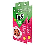 Fliegenfalle Sticker (Gesamtstückzahl: 8 Stk.) | BAUHAUS