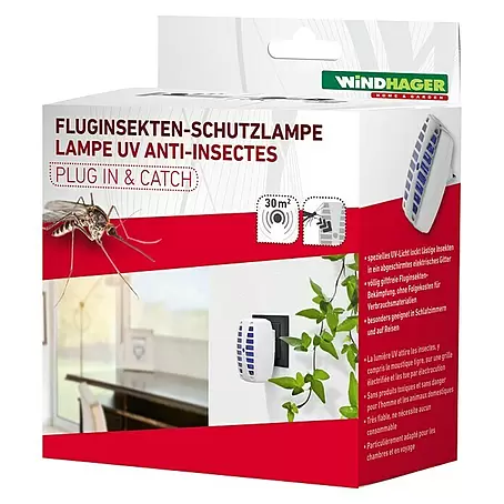 Windhager  Insektenvernichter Plug In&Catch