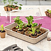 Windhager Anzuchtschale Greenline ECO natur (L x B: 382 x 242 mm, Aus nachwachsenden Rohstoffen, Natur) | BAUHAUS