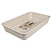 Windhager Anzuchtschale Greenline ECO natur (L x B: 382 x 242 mm, Aus nachwachsenden Rohstoffen, Natur) | BAUHAUS