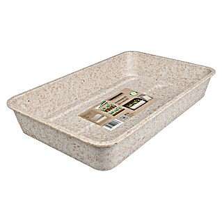 Windhager Anzuchtschale Greenline ECO natur (L x B: 382 x 242 mm, Aus nachwachsenden Rohstoffen, Natur)