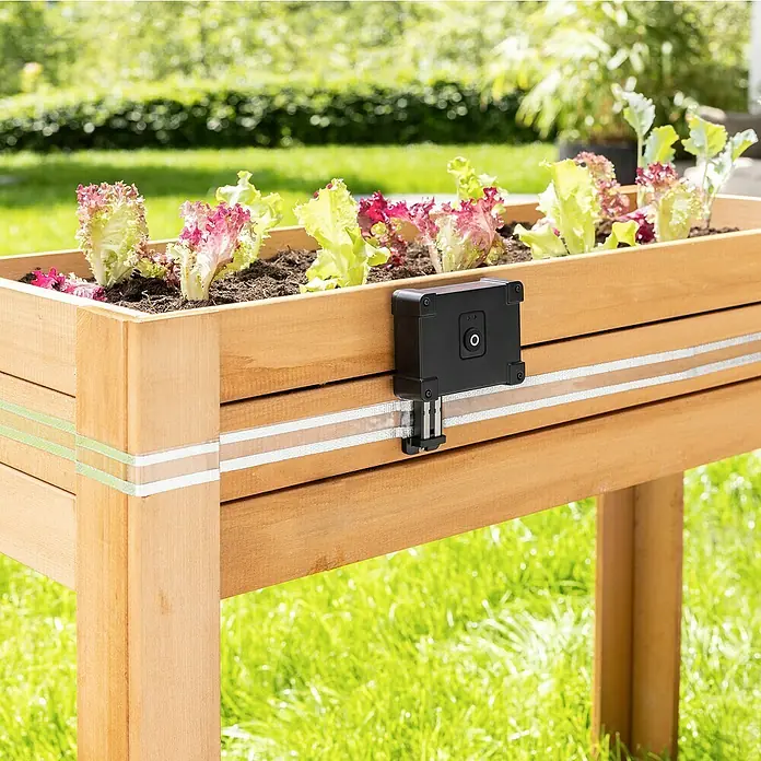 Windhager Schneckenzaun E-Fence - 10 m, Batteriebetrieben - Naheaufnahme eines erhöhten Gartenbeets mit Salatpflanzen und einem schwarzen Bewässerungssensor an der Seite.