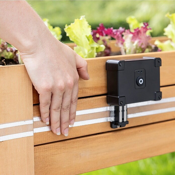 Windhager Schneckenzaun E-Fence (Passend für: Hochbeete, 10 m, Batteriebetrieben) | BAUHAUS