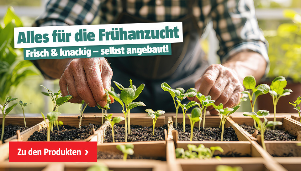 alles für die Frühanzucht