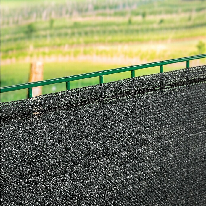 Windhager Zaunblende Screenex Classic (Anthrazit, Kunststoff, L x H: 25 x 1 m) | BAUHAUS