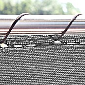 Windhager Zaunblende Screenex Classic (Anthrazit, Kunststoff, L x H: 25 x 1 m) | BAUHAUS