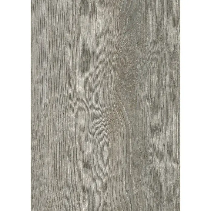 LOGOCLIC Vinto Laminat - Eiche Calais, Landhausdiele, 1.288 x 330 x 8 mm - Nahaufnahme eines hellgrauen Holzfurniers mit deutlicher Maserung und einem charakteristischen Ast. Das Material wirkt modern und strapazierfähig.