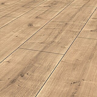 LOGOCLIC Vinto Laminat Wide Eiche Palazzo (1.288 x 330 x 8 mm, Landhausdiele, Eiche Palazzo)
