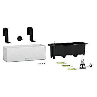 Lechuza Cube Starter-Set Color Triple (Weiß, L x B x H: 40,5 x 15 x 15 cm, Kunststoff)