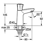 Grohe Costa Fonteinkraan Costa (Glanzend, Hoogte: 14,5 cm) | BAUHAUS