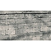 Seesteiner Mauerstein Quadro Felsino (Anthrazit, Beton, 3 Stk.)