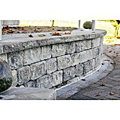 Seesteiner Mauerstein Karo Felsino (Anthrazit, L x B x H: 30 x 20 x 14 cm, Beton)
