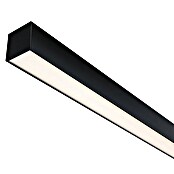 Paulmann Linion Lichtkanal (Warmweiß, Signalschwarz, L x B x H: 50 x 4 x 4 cm) | BAUHAUS