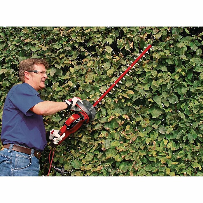 Einhell Električne škarje za živo mejo GC-EH 6055/1  (600 W, Dolžina reza: 55 cm) | 7276 - Elektroheckenscheren Marke | IAED - Heckenscheren | IAE - Gartenmotorgeräte | IA - Gartenhartware | I - Stadtgarten | BAUHAUS