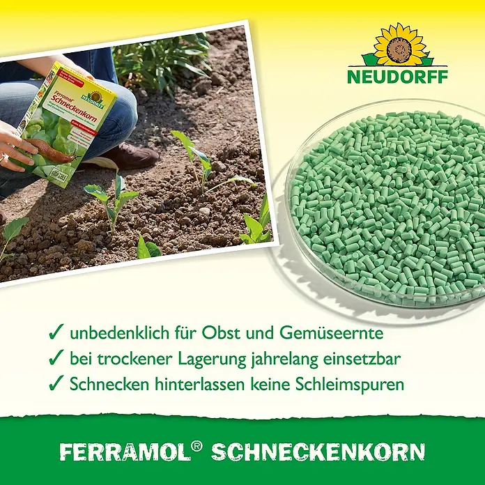 Neudorff Ferramol Schneckenkorn - 500 g - Das Bild zeigt Ferramol Schneckenkorn, ein Produkt zur Schneckenbekämpfung, mit der Aufschrift "unbedenklich für Obst- und Gemüseernte".