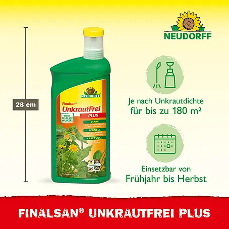 frühlingszwiebel saatgut Saatgut Frühlingszwiebel 'White Lisbon' - Allium cepa lisboa