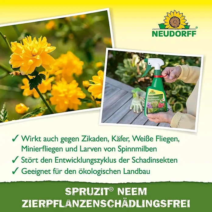 Neudorff Spruzit Schädlingsfrei Zierpflanzen Neem - 450 ml - Neudorff Spruzit Neem Zierpflanzen-Schädlingsfrei Sprühflasche wird von einer Hand gehalten, mit gelben Blüten im Hintergrund.