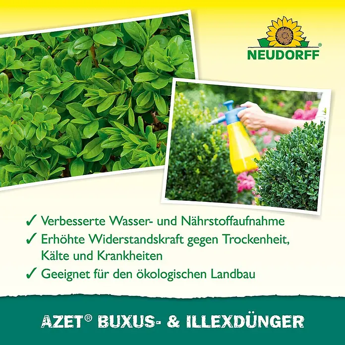 Neudorff Azet Buchsbaumdünger - 250 ml - Bild einer Packung AZET® BUXUS- & ILLEXDÜNGER, einem Dünger für Buchsbaum und Stechpalme, mit gesundem, grünen Pflanzenwachstum.