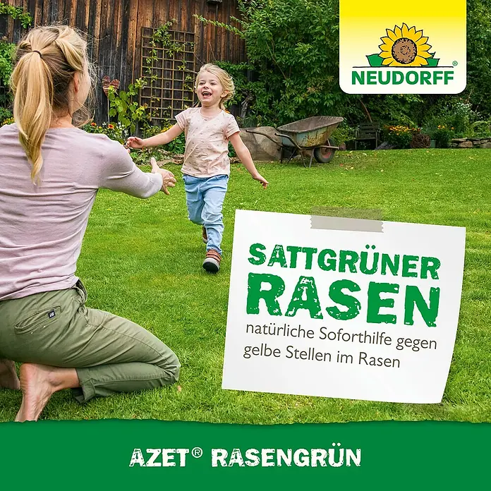 Neudorff Azet Rasendünger - 318 g, 250 ml, Max. Anwendungsfläche: 10 m² - AZET® RASENGRÜN für einen sattgrünen Rasen, natürliche Soforthilfe gegen gelbe Stellen, von einer Familie genossen.