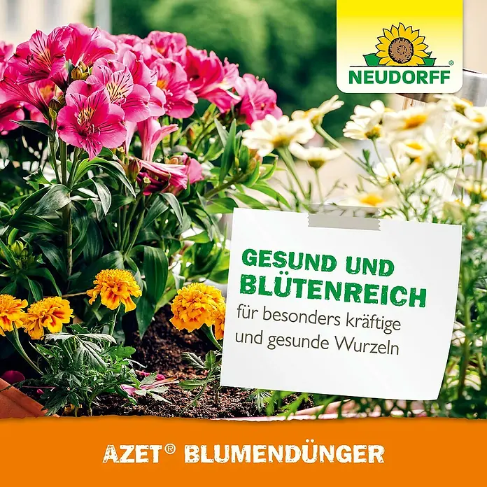 Neudorff Azet Blühpflanzendünger - 1 l - AZET® Blumendünger: Üppige Blütenpracht mit gesunden, kräftigen Wurzeln. Ideal für Balkon und Garten. Natürliche Nährstoffe für langanhaltende Blütenfülle.