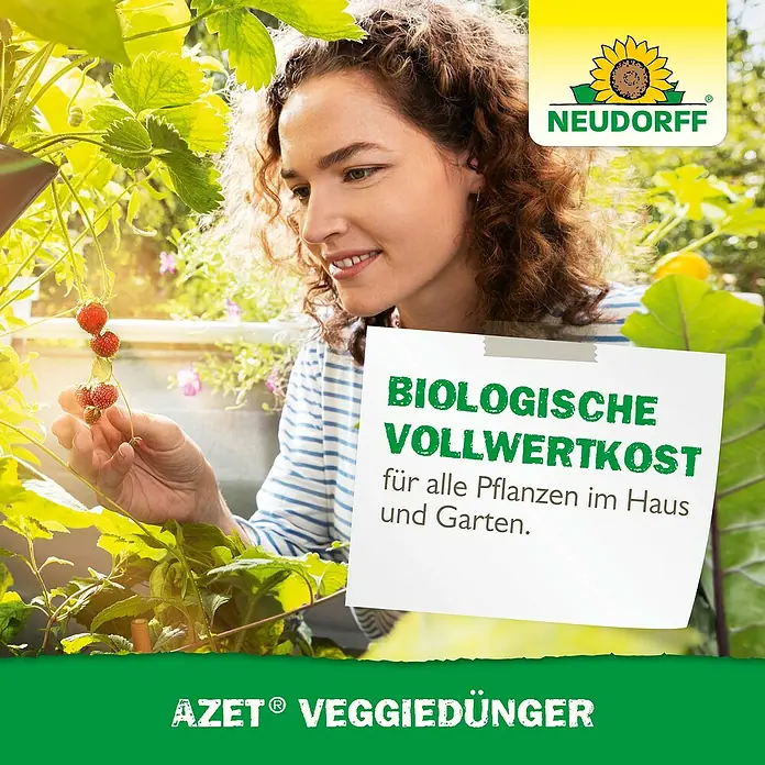 Neudorff Azet Bio-Gartendünger Azet Veggie - 750 g - Frau pflückt Erdbeeren, Neudorff Azet Veggiedünger im Vordergrund. Biologische Vollwertkost für Pflanzen im Haus und Garten.