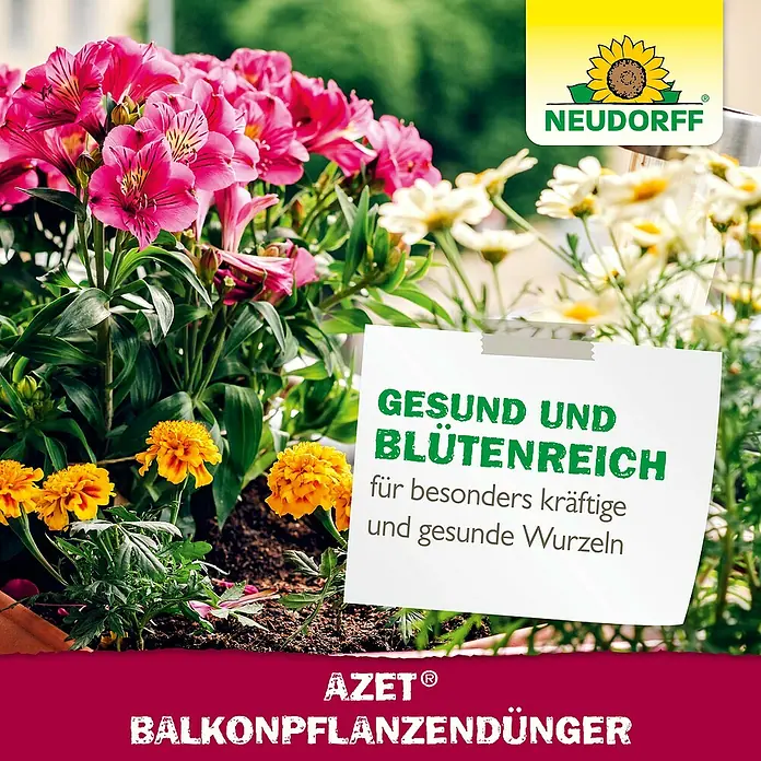 Neudorff Azet Balkonpflanzendünger - 2 l, Geeignet für: Balkonpflanzen - NEUDORFF AZET Balkonpflanzendünger: Fördert kräftige Wurzeln und reiche Blüten, dargestellt durch leuchtende Blumen.