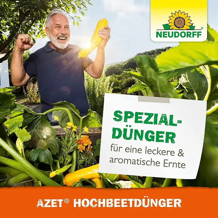Neudorff Azet Hochbeetdünger - 1 l - Ein glücklicher Mann präsentiert stolz seine gelbe Zucchini, gewachsen mit Neudorff Spezial-Dünger für eine aromatische Ernte.