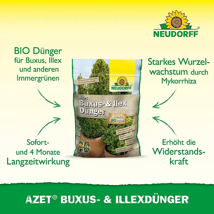 Neudorff Azet Buxusdünger - 1,75 kg - Neudorff Azet Buxus- und Illexdünger, Bio-Dünger für Buchsbaum, Stechpalme und immergrüne Pflanzen, sorgt für starkes Wachstum und Widerstandskraft.