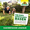 Neudorff Rasen-Reparatur LückenLos (2,5 kg, 6 m²) | BAUHAUS