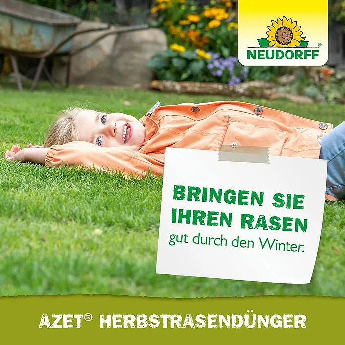 Neudorff Azet Herbstrasendünger - 20 kg, Max. Anwendungsfläche: 400 m² - Herbst-Rasendünger AZET® von Neudorff. Bringen Sie Ihren Rasen gut durch den Winter mit diesem Produkt.