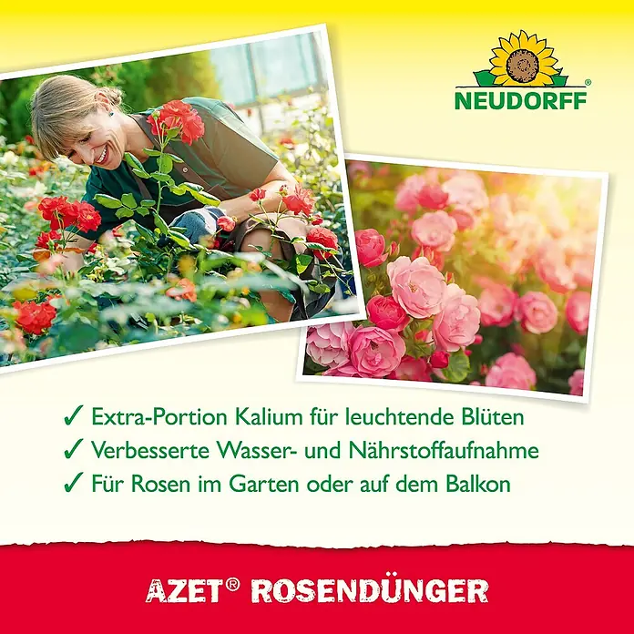Neudorff Azet Rosendünger - 1 l - Werbung für AZET® Rosendünger mit blühenden Rosen und einer Frau, die Rosen beschneidet.