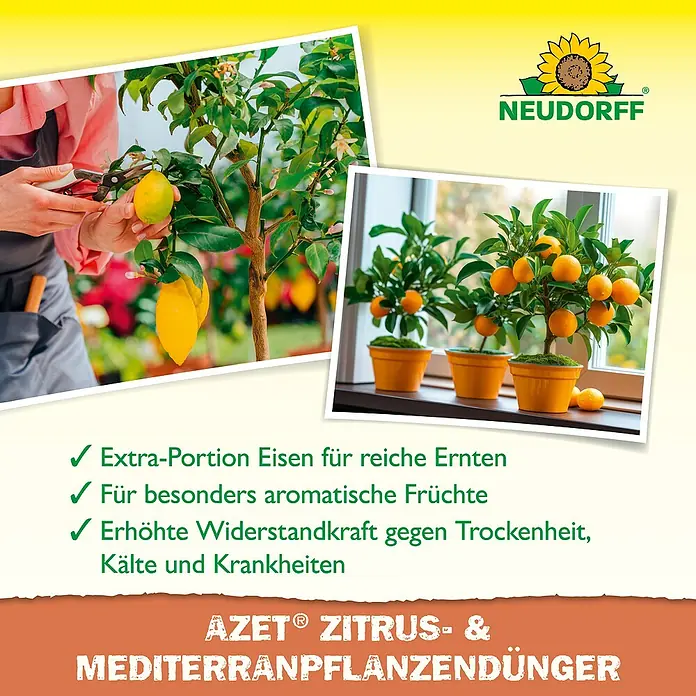 Neudorff Azet Zitrusdünger Zitrus- & Mediterranpflanzen - 1 l - Produktbild von NEUDORFF AZET® ZITRUS- & MEDITERRANPFLANZENDÜNGER für reiche Ernten und aromatische Früchte.