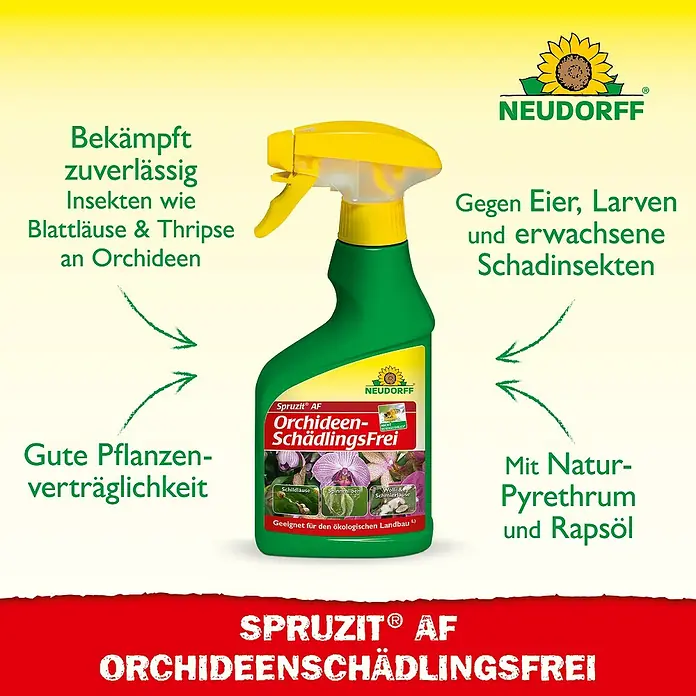 Neudorff Spruzit Schädlingsfrei AF - 250 ml, Geeignet für: Orchideen - Produktbild: Neudorff Spruzit AF Orchideen Schädlingsfrei, ein Insektizid zur Bekämpfung von Schädlingen an Orchideen.