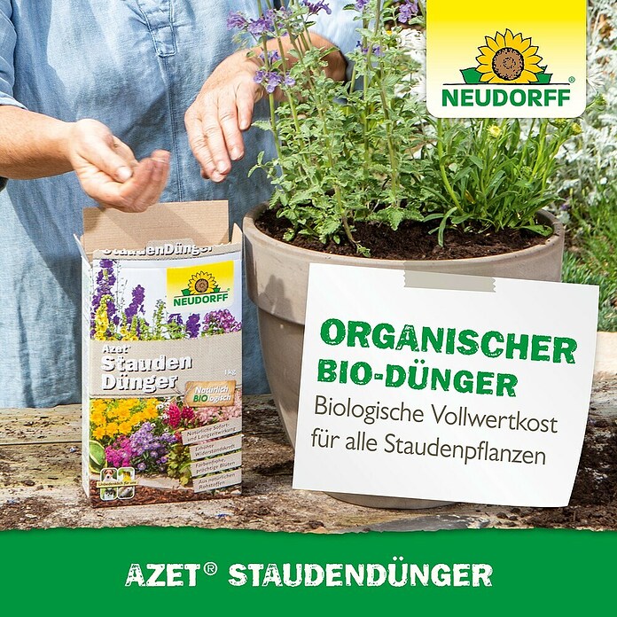 Neudorff Azet Staudendünger (1,75 kg)