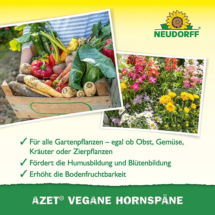 Neudorff Azet Bio-Hornspäne Vegan - 2,5 kg - NEUDORFF AZET® VEGANE HORNSPÄNE Anzeige mit gesundem Gemüse und bunten Blumen, die Vorteile für alle Gartenpflanzen hervorhebt.