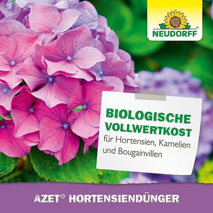 Neudorff Azet Hortensiendünger (1 kg) | BAUHAUS