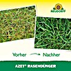 Neudorff Azet Rasendünger (10 kg, Inhalt ausreichend für ca.: 200 m²)